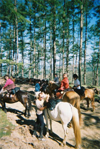 La course d'orientation